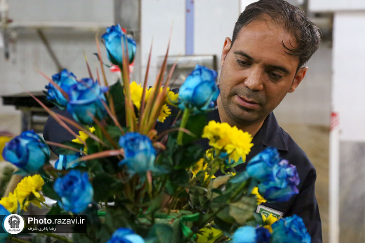 گل‌آرایی حرم مطهر رضوی در شب میلاد امام رضا علیه‌السلام