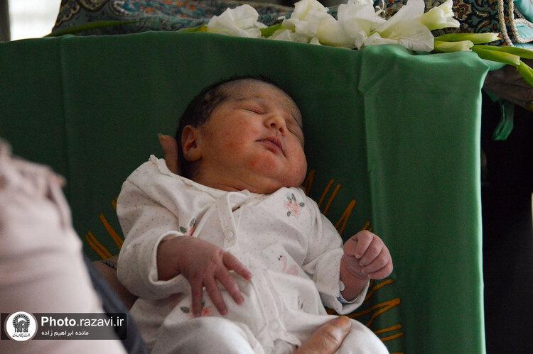 عیادت از بیماران در سالروز ولادت امام رضا علیه‌السلام