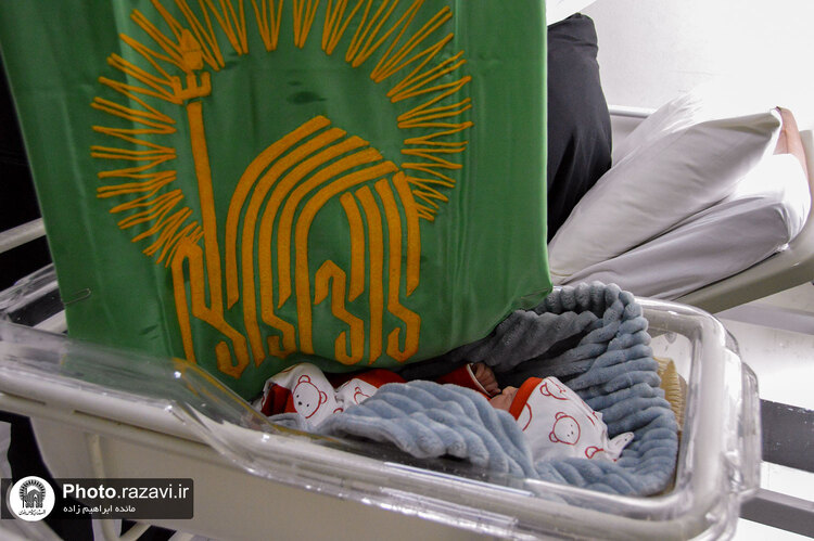 عیادت از بیماران در سالروز ولادت امام رضا علیه‌السلام