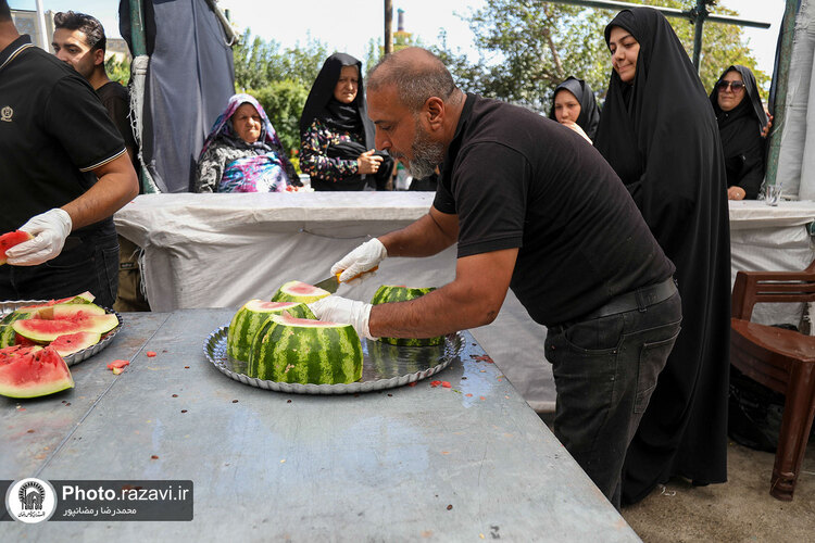 مواکب خدمت رسان به زائران بارگاه منور رضوی