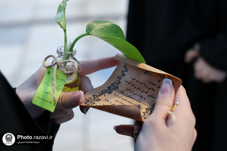 مهر دخترانه