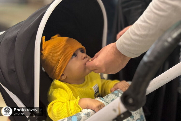 حال و هوای حرم مطهر رضوی در دهه کرامت