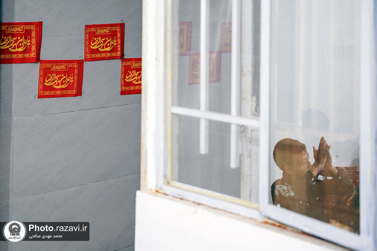 جشن ولادت امام رضا علیه‌السلام در منطقه کشمیری مشهد