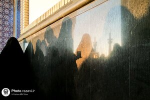 در سایه نور 