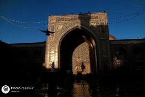 در سایه نور 