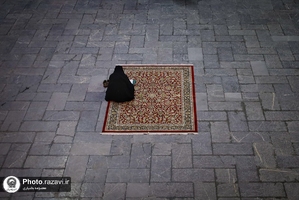  حال و هوای حرم مطهر رضوی در شب شهادت امام هادی علیه السلام 