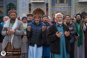  حال و هوای حرم مطهر رضوی در روز شهادت امام کاظم علیه‌السلام 