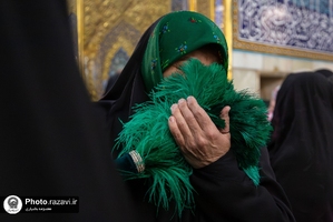 پرهای بهشتی