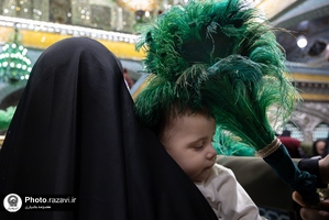 پرهای بهشتی