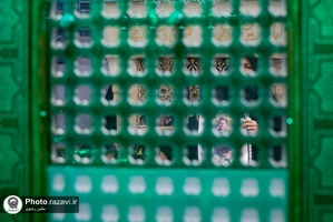 غبارروبی ضریح مطهر امام رضا علیه‌السلام 