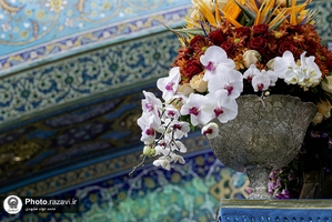 گل‌آرایی ضریح مطهر رضوی به مناسبت نیمه شعبان