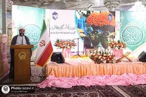 نبات