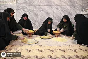 نبات