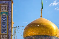 عکس با کیفیت : کبوتران حرم امام رضا علیه السلامآستان نیوز - 