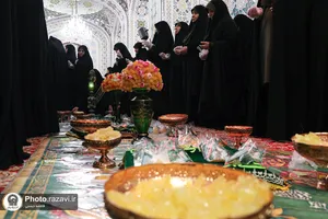 نبات