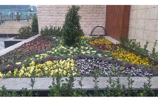 روزی برای زمین، نگاهی برای زندگی؛ توجه بیمارستان رضوی به فضای سبز