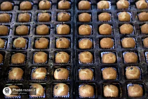 بازدید کارکنان آستان قدس رضوی از شرکت صنایع غذایی رضوی