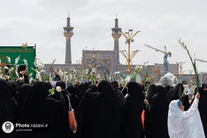 گلباران حرم مطهر رضوی در روز میلاد حضرت معصومه سلام الله علیها