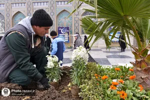 گل آرایی عیدانه حرم مطهر رضوی