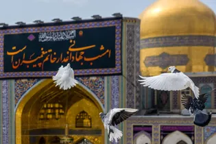 کتیبه آرایی اماکن متبرکه رضوی در دهه پایانی ماه صفر