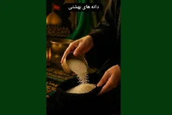 آغاز پویش «دانه‌های بهشتی» در مدارس امام رضا (ع)