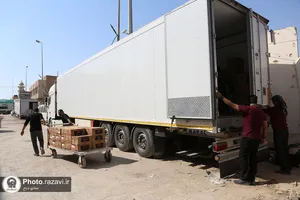 زائران حرم امامین عسکریین مهمان سفره امام رضا علیه&zwnj;السلام