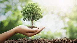 غرس ۳۰ اصله نهال به نیابت از شهدای جنگ رمضان در خوانسار
