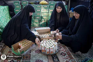 موکب کبوتران حضرتی خدام&zwnj;الائمه علیهم&zwnj;السلام