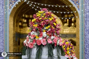 حال و هوای حرم مطهر رضوی در آستانه ولادت امام رضا علیه&zwnj;السلام