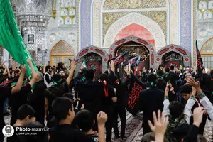 اجتماع دانش آموزی &laquo;احلی من العسل&raquo; در حرم مطهر رضوی