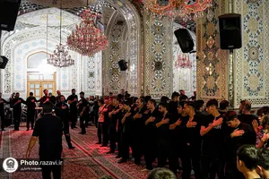 عزاداری هیأت&zwnj;های مذهبی به مناسبت شهادت امام رضا علیه&zwnj;السلام