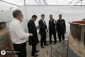 بازدید قائم مقام تولیت آستان قدس رضوی از مواکب خدمت رسان به زائرین امام رضا علیه&zwnj;السلام در دهه کرامت
