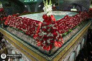گل&zwnj;آرایی ضریح مطهر رضوی در آستانه ولادت امام رضا(علیه&zwnj;السلام)