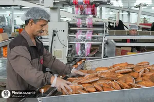 بازدید کارکنان آستان قدس رضوی از شرکت صنایع غذایی رضوی