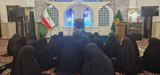 برگزاری بیتوته معنوی دانش‌پژوهان ریحانه المصطفی (ص) در حرم مطهر رضوی