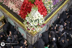 گل آرایی ضریح مطهر رضوی در دهه کرامت