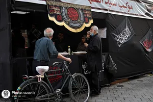 بازدید قائم مقام تولیت آستان قدس رضوی از خدمت&zwnj;رسانی مواکب اطراف حرم