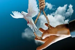 بخشش جوان محکوم به قصاص در کرمان به حرمت امام رضا (ع)