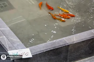 محفل قرآنی به سوی فتح در حرم مطهر رضوی
