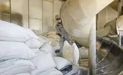 ساختار یارانه آرد و گندم باید اصلاح شود