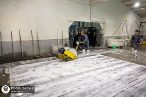 بازدید کارکنان آستان قدس رضوی از شرکت فرش و آرایه&zwnj;های رضوی