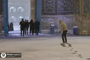 بارش برف پاییزی در حرم مطهر رضوی
