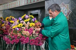 از گلخانه‌های ایرانی تا فراز ضریح رضوی
