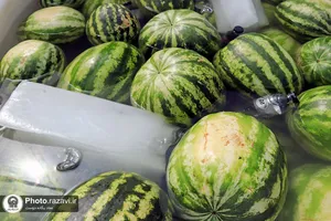 موکب خدمت رسانی جوانان رضوی در خیابان امام رضا علیه&zwnj;السلام
