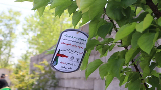 کاشت ۱۵۰ اصله نهال به مناسبت دهه کرامت در خمام