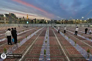 پذیرای از زوار بارگاه منور رضوی در صحن امام حسن مجتبی(علیه&zwnj;السلام)