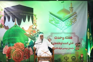 بندرعباس در شب میلاد پیامبر مهربانی&zwnj;ها غرق در نور و شادی + تصاویر