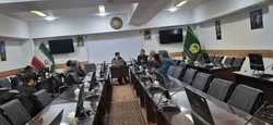 شاعران آئینی مرثیه‌سُرای بانوی ادب و ایثار شدند  