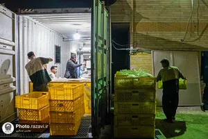برپایی نانوایی به همت خادمیاران رضوی در مرز مهران
