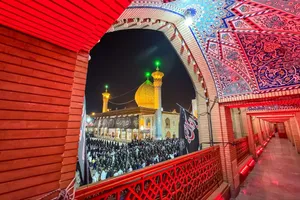 لاله&zwnj;گردانی خادم&zwnj;یاران فارس در سوگ امام رضا (ع) + تصاویر